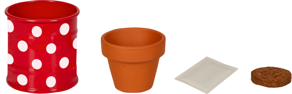 Auf dem Bild ist das kleine Pflanzset Weiße Margerite - Fröhliche Tupf zu sehen. Es eignet sich perfekt für den Frühling.